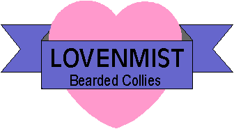 Lovenmist Bearded Collies